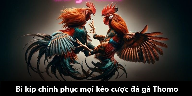 Cẩm nang chinh phục thành công bộ môn đá gà Thomo