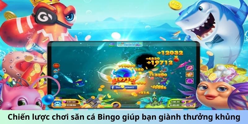 Chiến lược chơi săn cá Bingo giúp bạn giành thưởng khủng