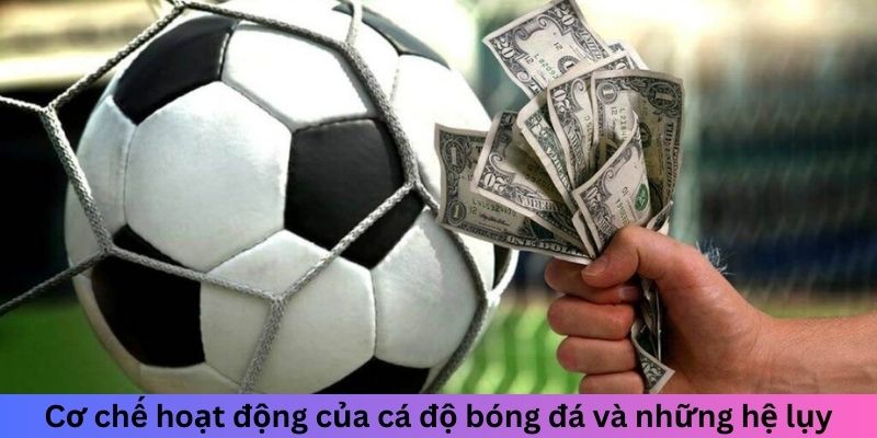 Cơ chế hoạt động của cá độ bóng đá và những hệ lụy