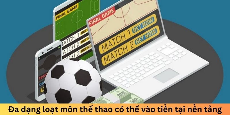 Đa dạng loạt môn thể thao có thể vào tiền tại nền tảng