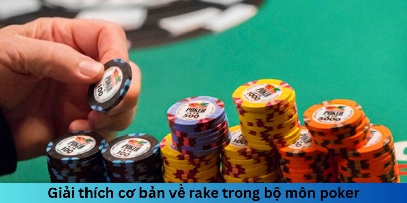 Giải thích cơ bản về rake trong bộ môn Poker