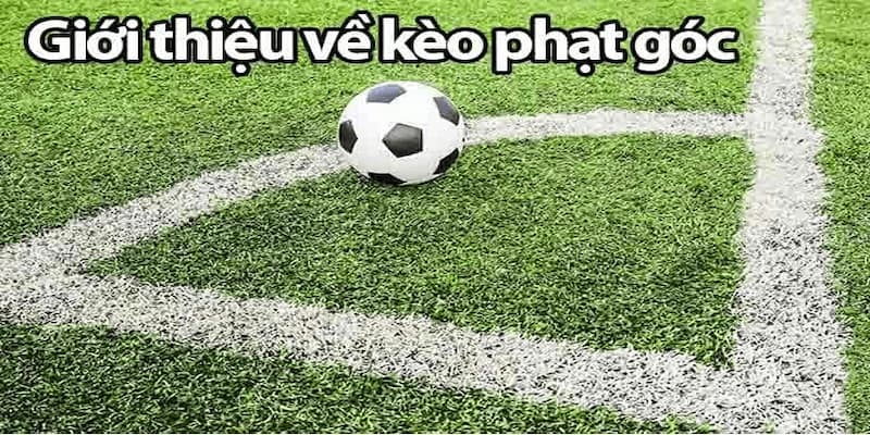 Kèo phạt góc là gì đang được đông đảo bet thủ bóng đá quan tâm