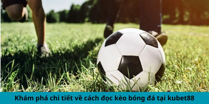 Khám phá chi tiết về cách đọc kèo bóng đá tại kubet88