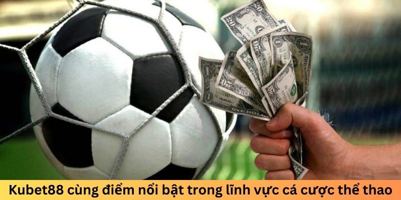 Thương hiệu cùng điểm nổi bật trong lĩnh vực cá cược thể thao