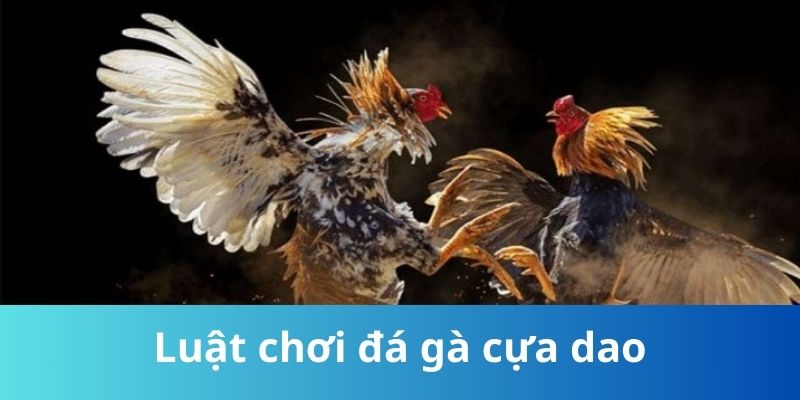 Luật chơi đá gà cựa dao