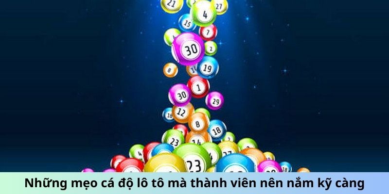 Những mẹo cá độ lô tô mà thành viên nên nắm kỹ càng