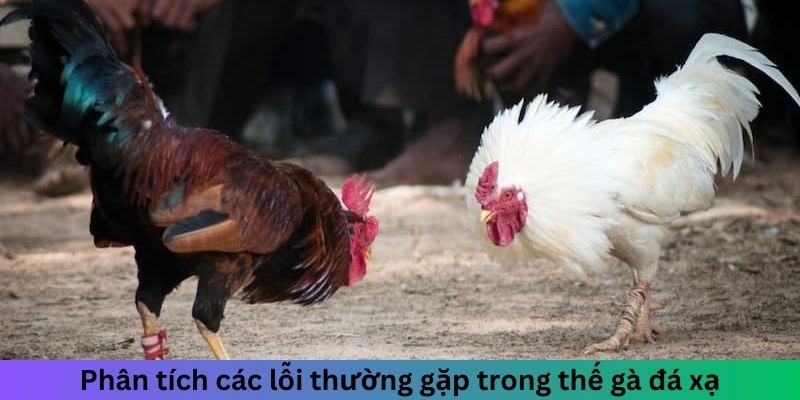 Phân tích các lỗi thường gặp trong thế gà đá xạ