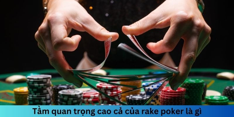 Tầm quan trọng cao cả của Rake Poker là gì?