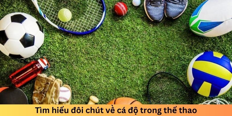 Tìm hiểu đôi chút về cá độ trong thể thao